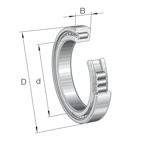 INA SL-182206 Cylindrical Roller Bearing
