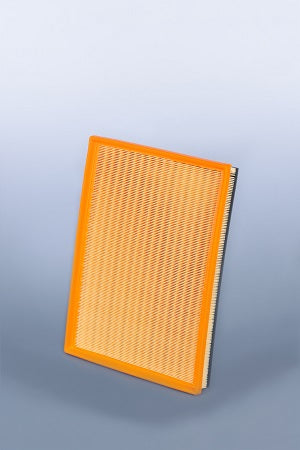 Fleetguard Air Filter-Plastic Panel On-Engine AF27833