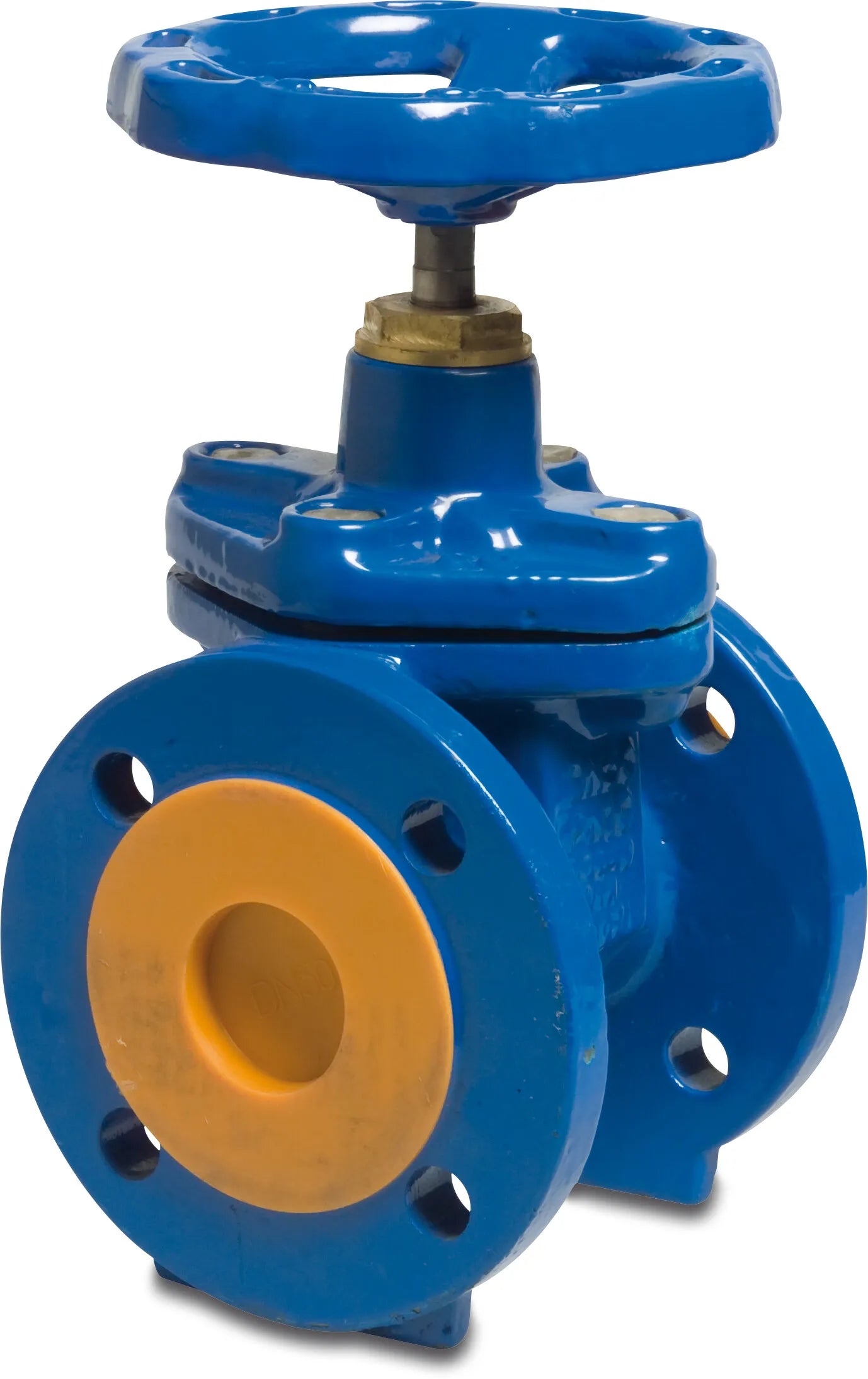 Profec Valve Ductile Iron (Ggg40) Epoxy Coating Dn250 Din Flange 16Bar Dn250 Pn10 Type 301 | Profec | UK Supplier | Roladex