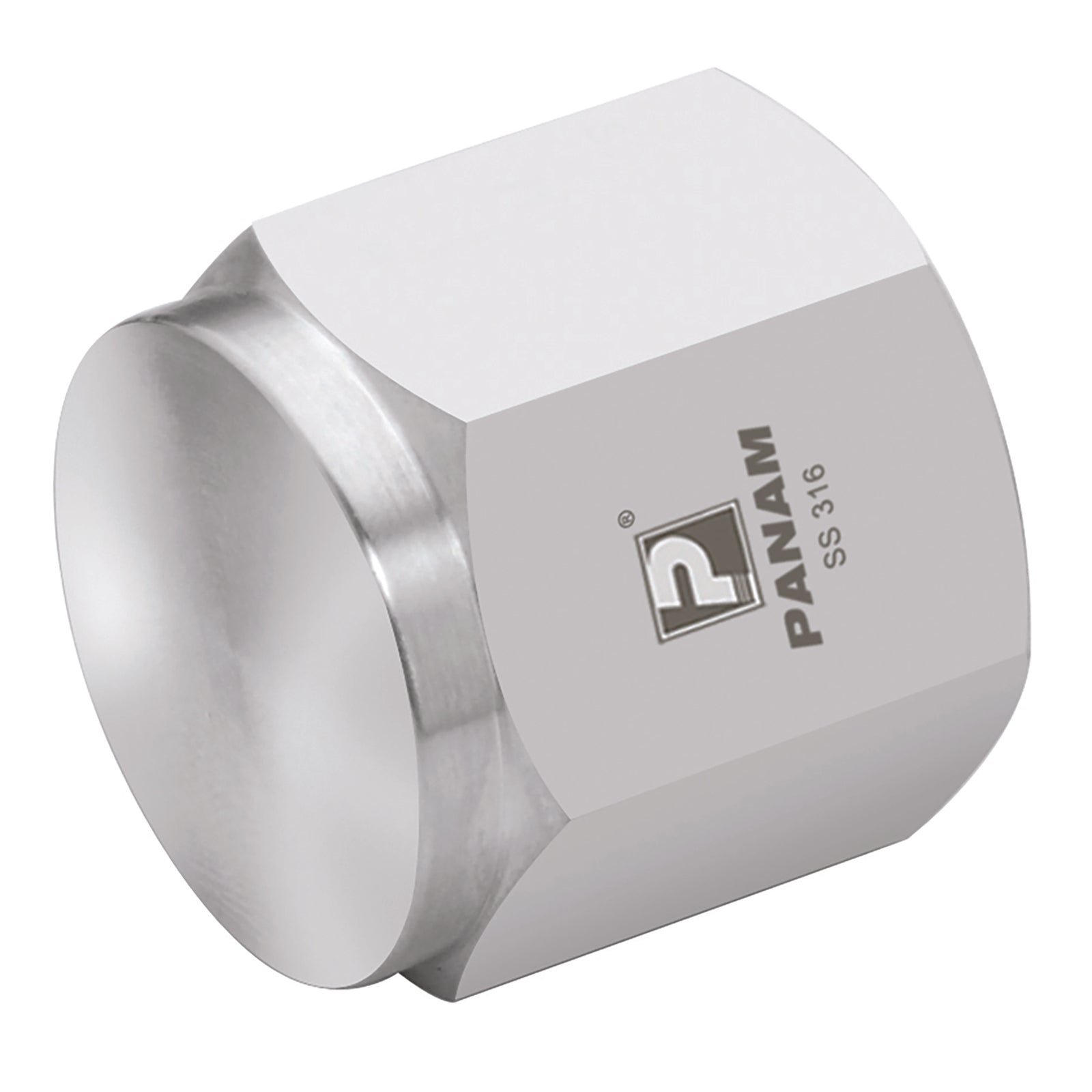 Panam 2033-8301 - 1/8" BSPP 6K Psi 316 Cap
