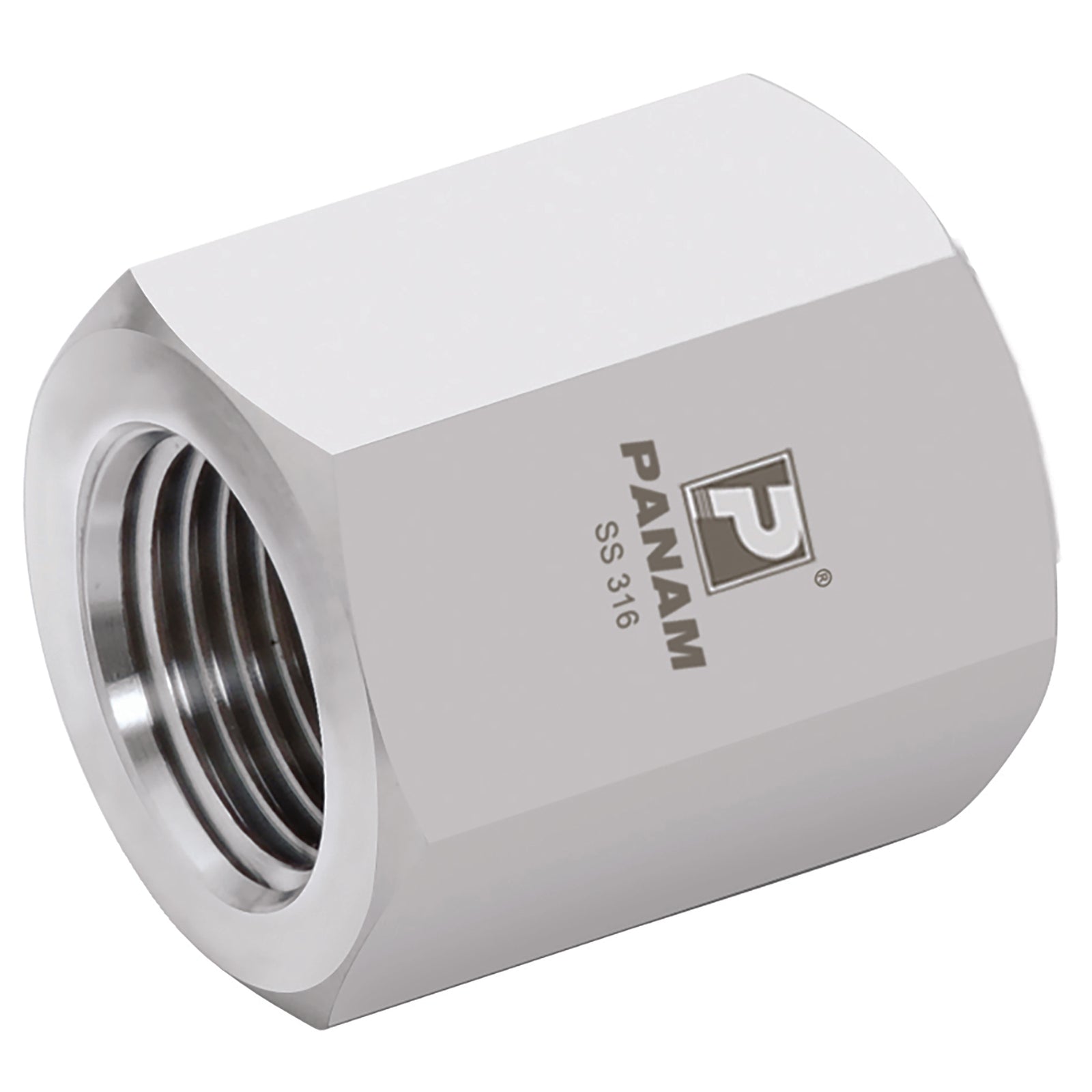 Panam 2N-C-10K - 1/8" Npt 10Kpsi 316 Cap