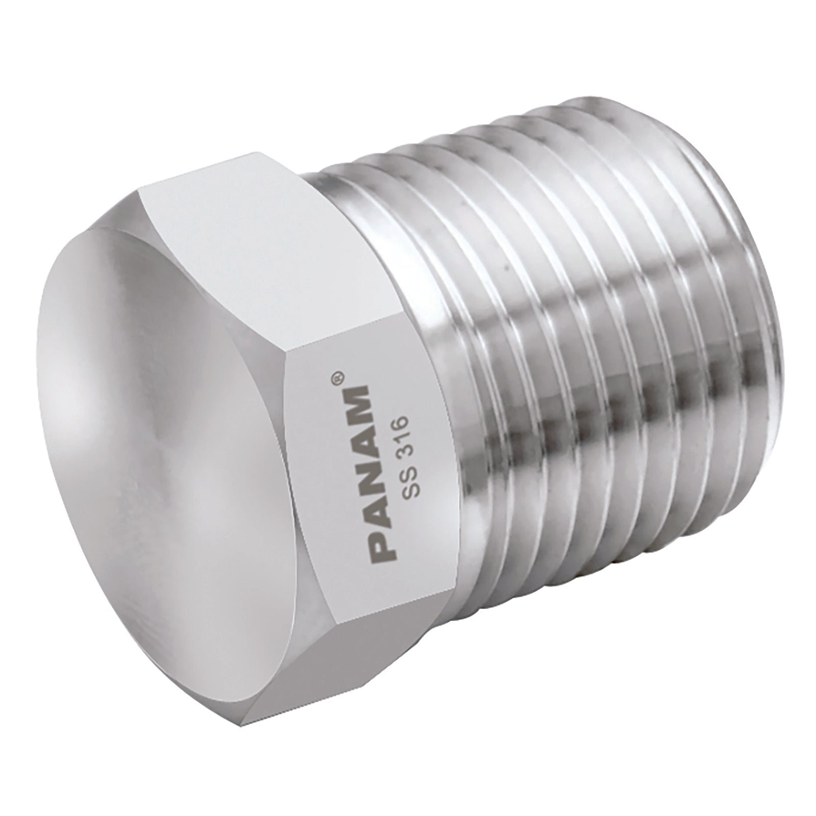 Panam 4N-P-10K - 1/4" Npt 10Kpsi 316 Plug