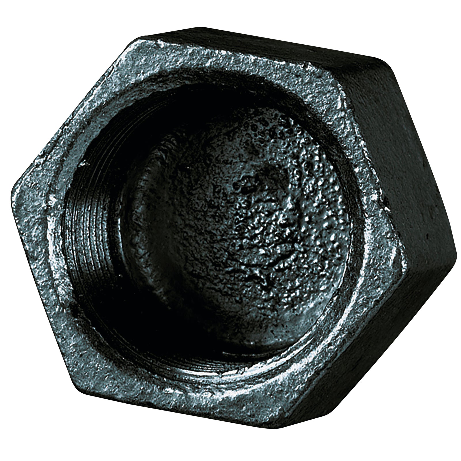 FT Pro MI300-34N - 3/4" BSPP Female Cap Hex Black