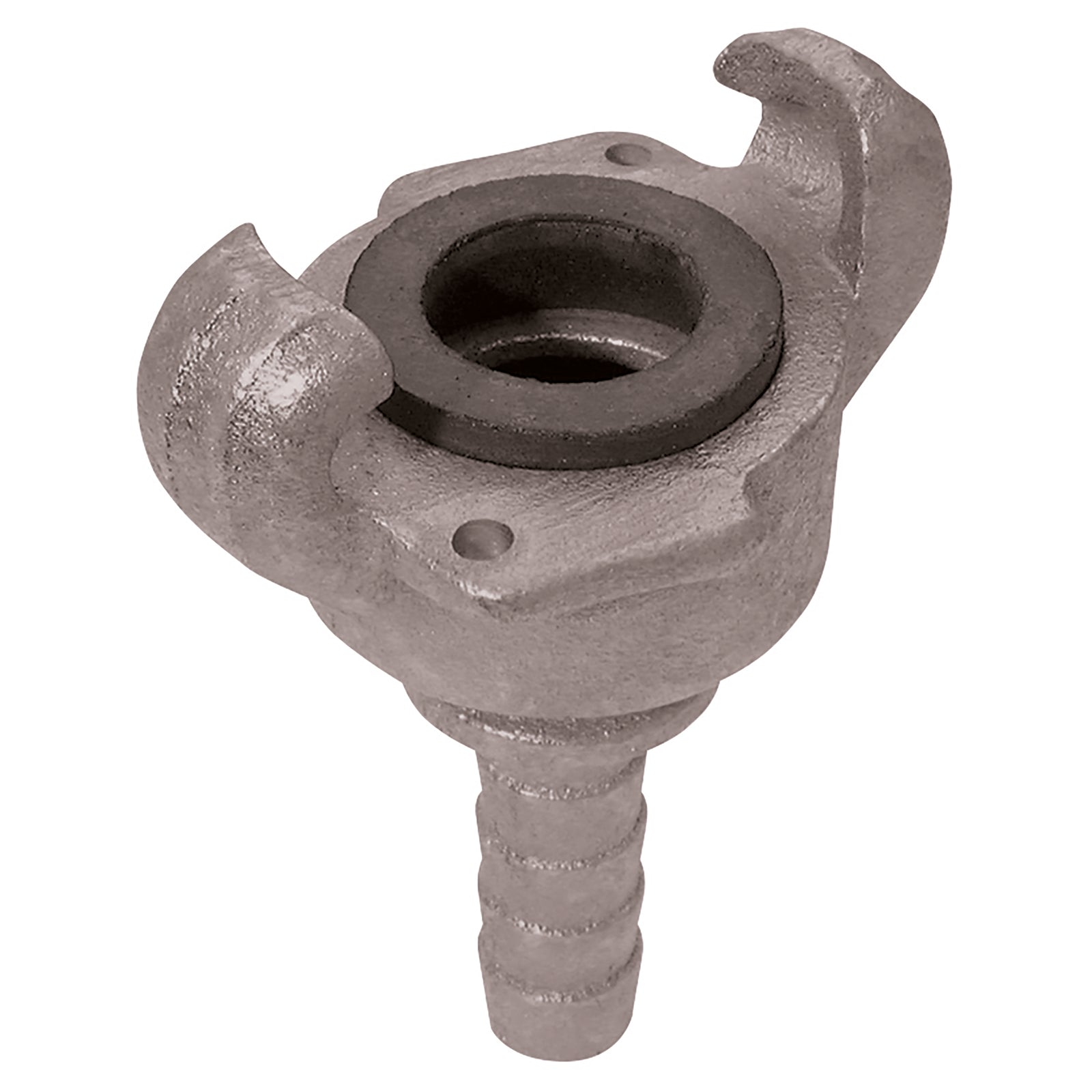 FT Pro QAY11 - Qay Claw Coupling 1" Hosetail Plated