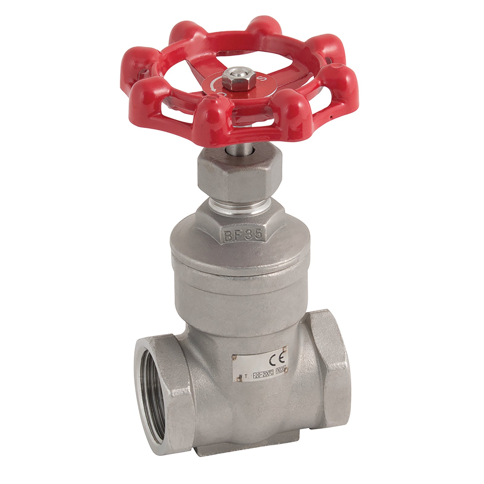 FT Pro 2029-212 - 2 1/2 BSP Ss Gate Valve H/Wheel Op