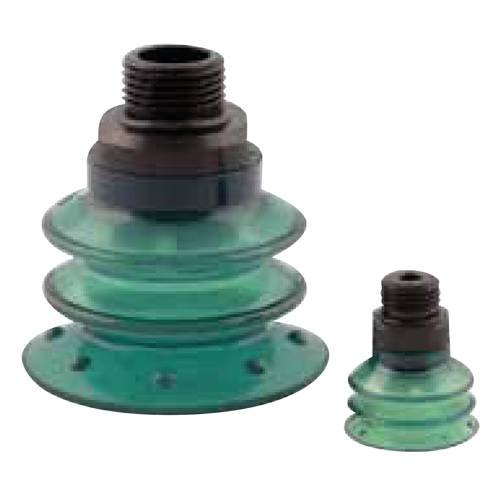 PNEUMAX 19VTS.P.38.05025 - Round Bellows Suction Cup ?ÿ 50mm