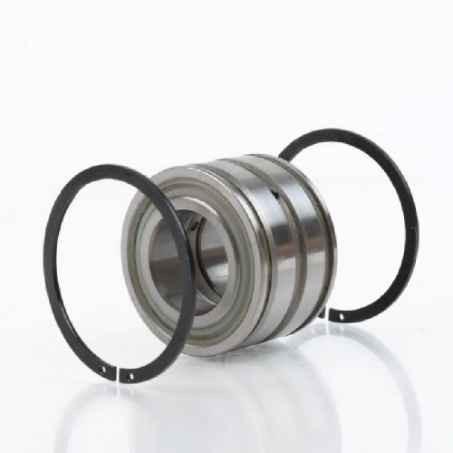 INA SL-045009 Cylindrical Roller Bearing