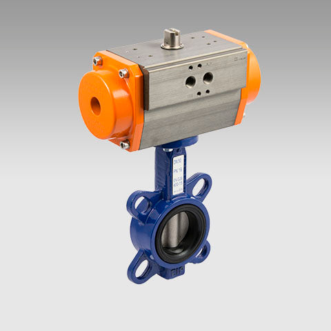 Rv-Fluid Butterfly Cast Iron 2 Dn50 Se - W0900300051 | Metal Work Pneumatic Online