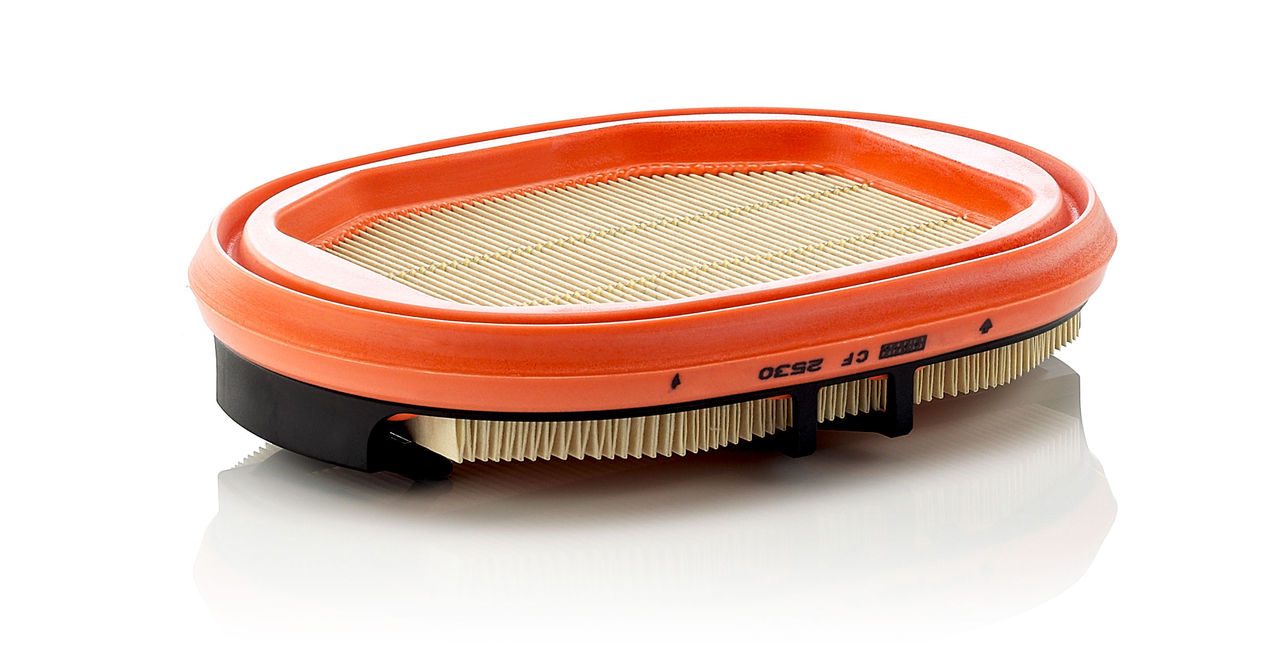 Mann Secondary element Filter CF 2530