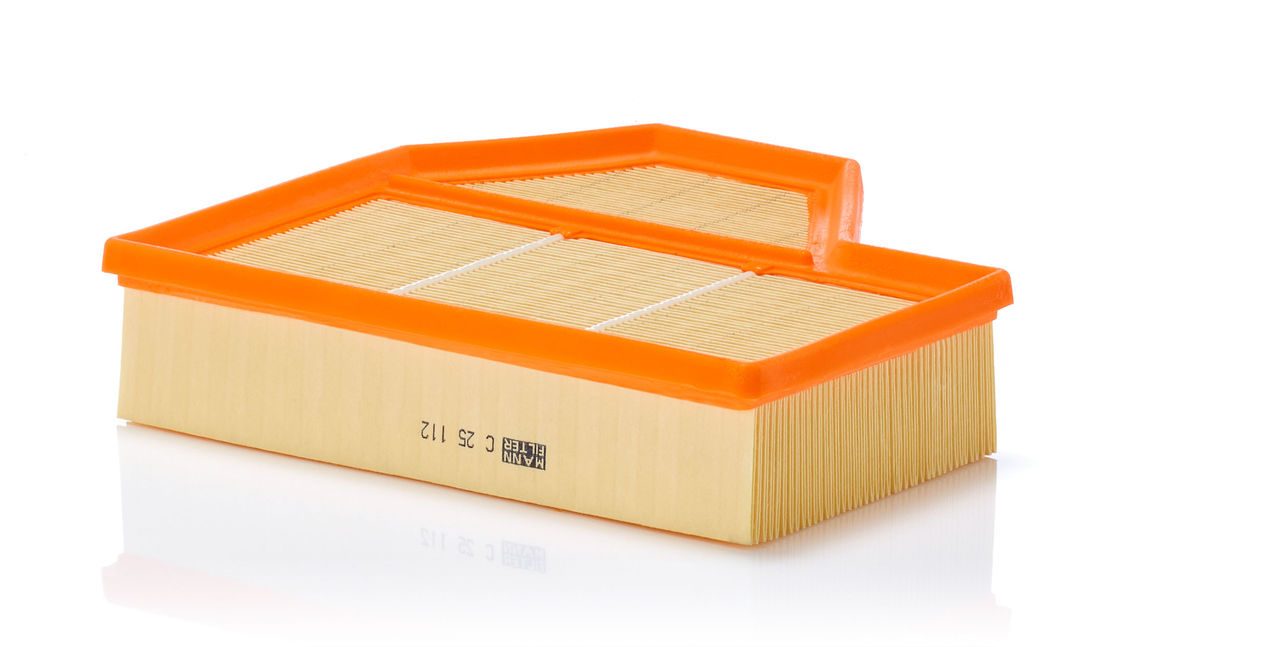 Mann Air Filter C 25 112