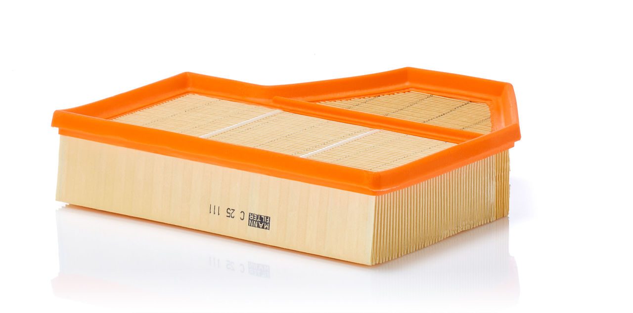 Mann Air Filter C 25 111