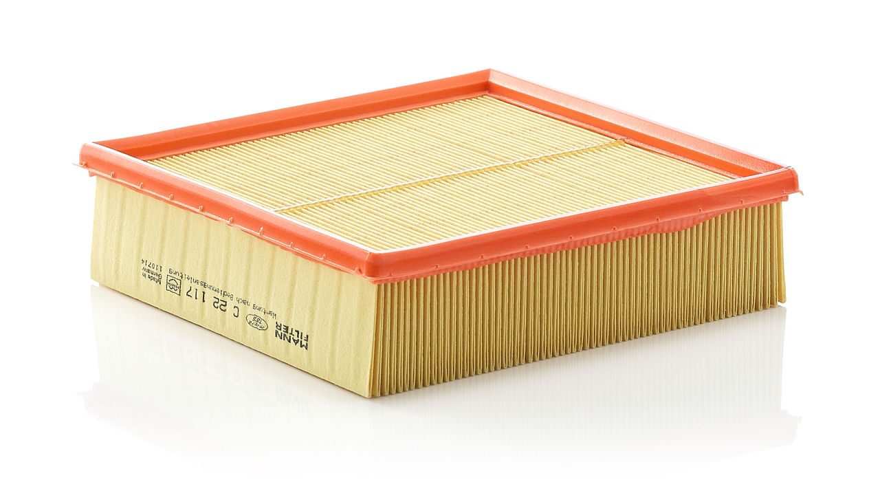 Mann Air Filter C 22 117