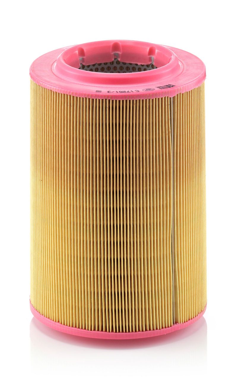 Mann Air Filter C 17 201/3