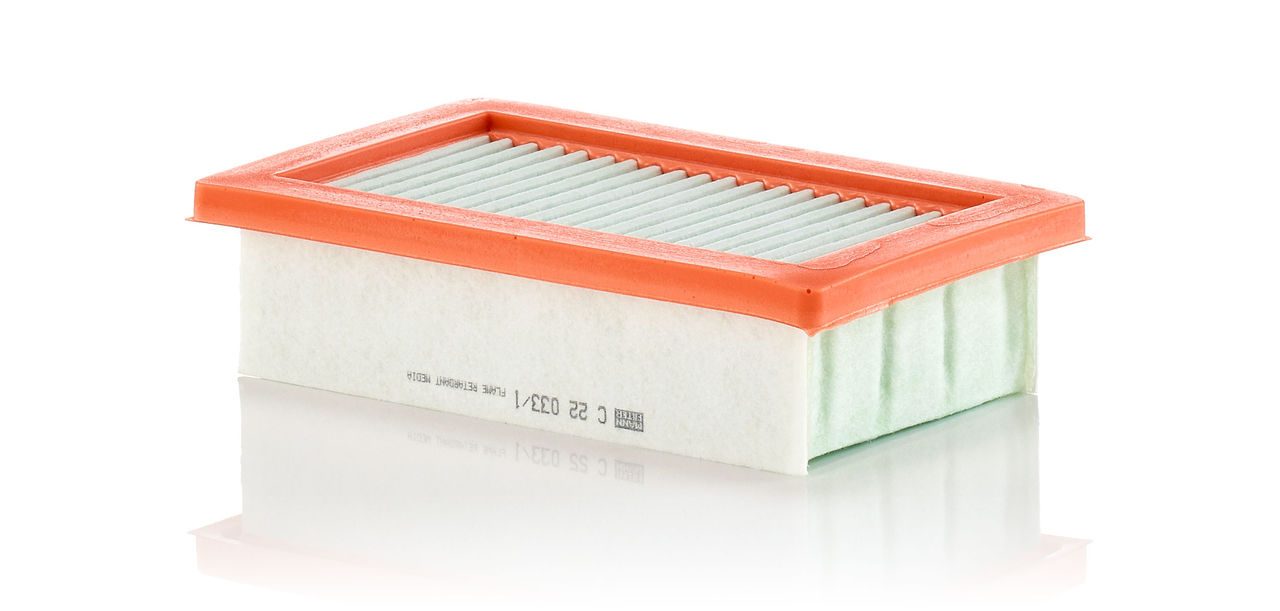 Mann Air Filter C 22 033/1