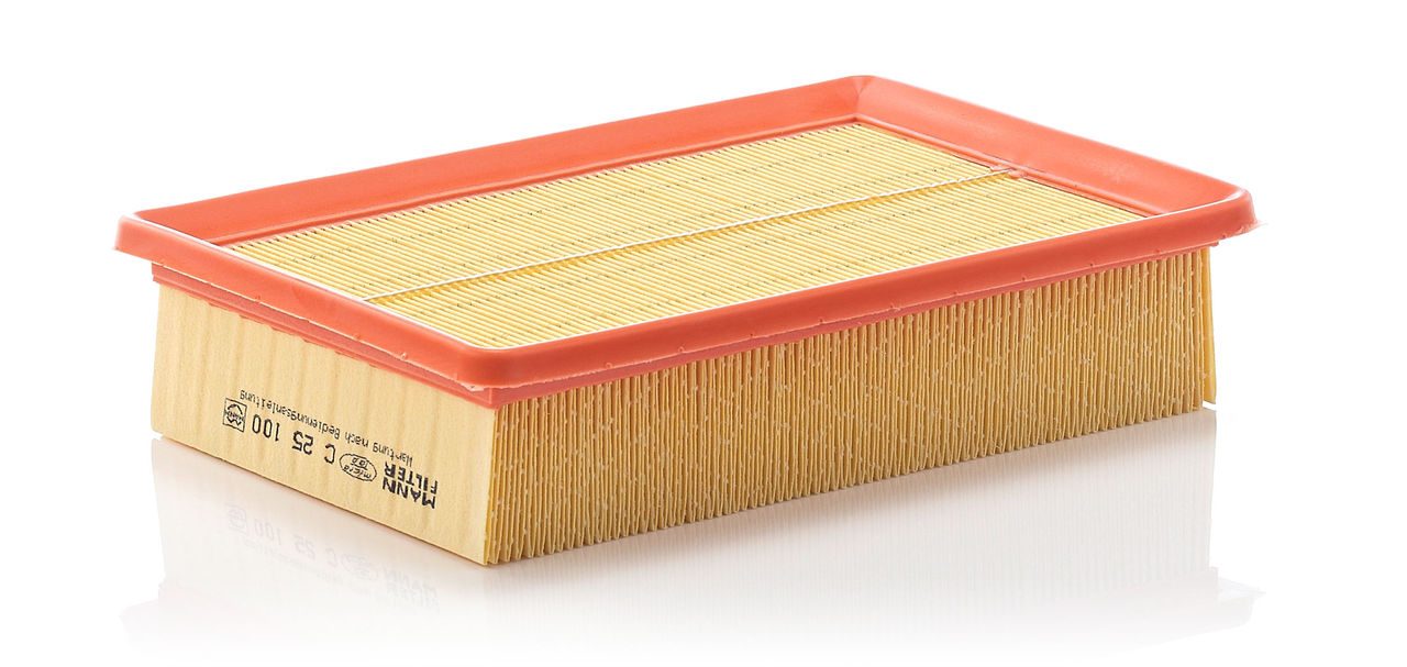 Mann Air Filter C 25 100