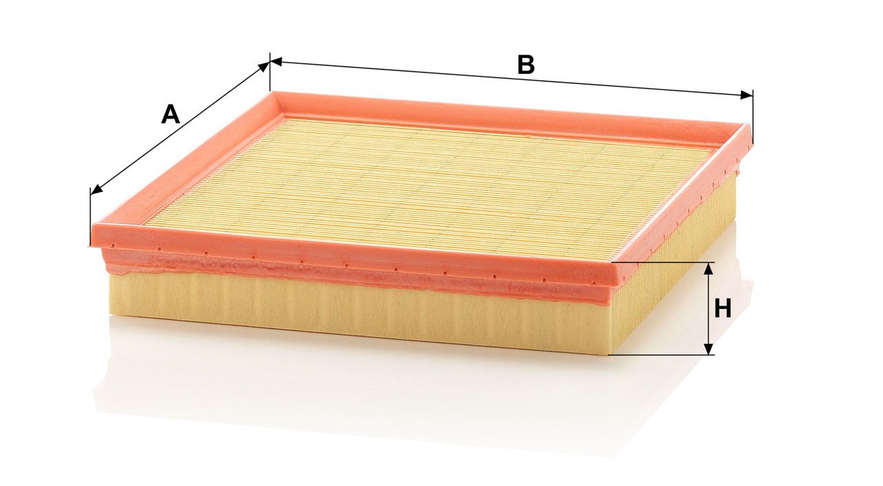 Mann Air Filter C 2493