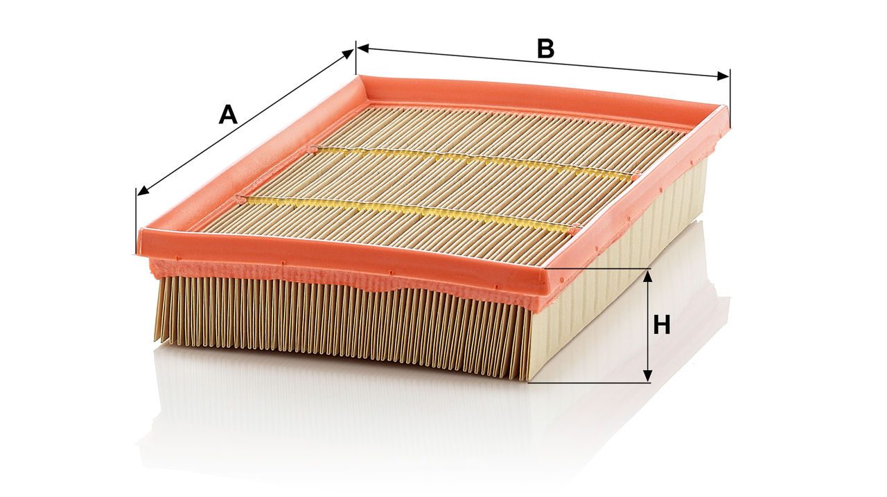 Mann Air Filter C 2589