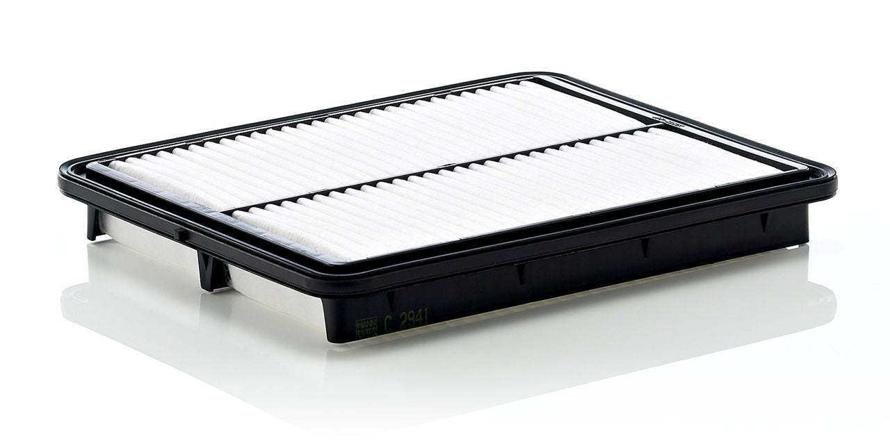 Mann Air Filter C 2941