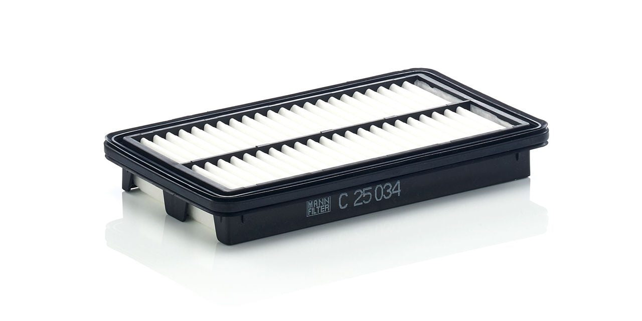 Mann Air Filter C 25 034