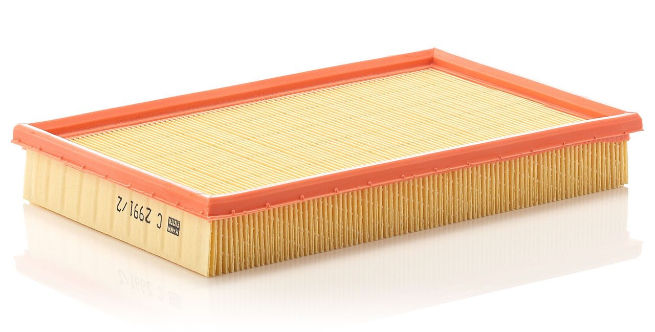 Mann Air Filter C 2991/2