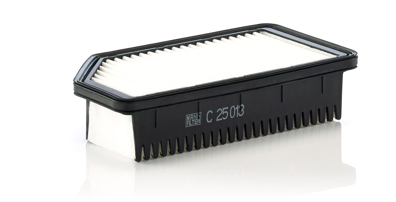 Mann Air Filter C 25 013