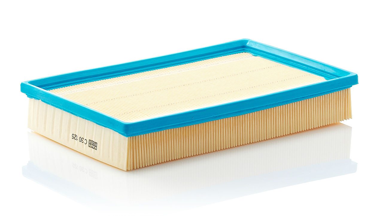 Mann Air Filter C 30 125