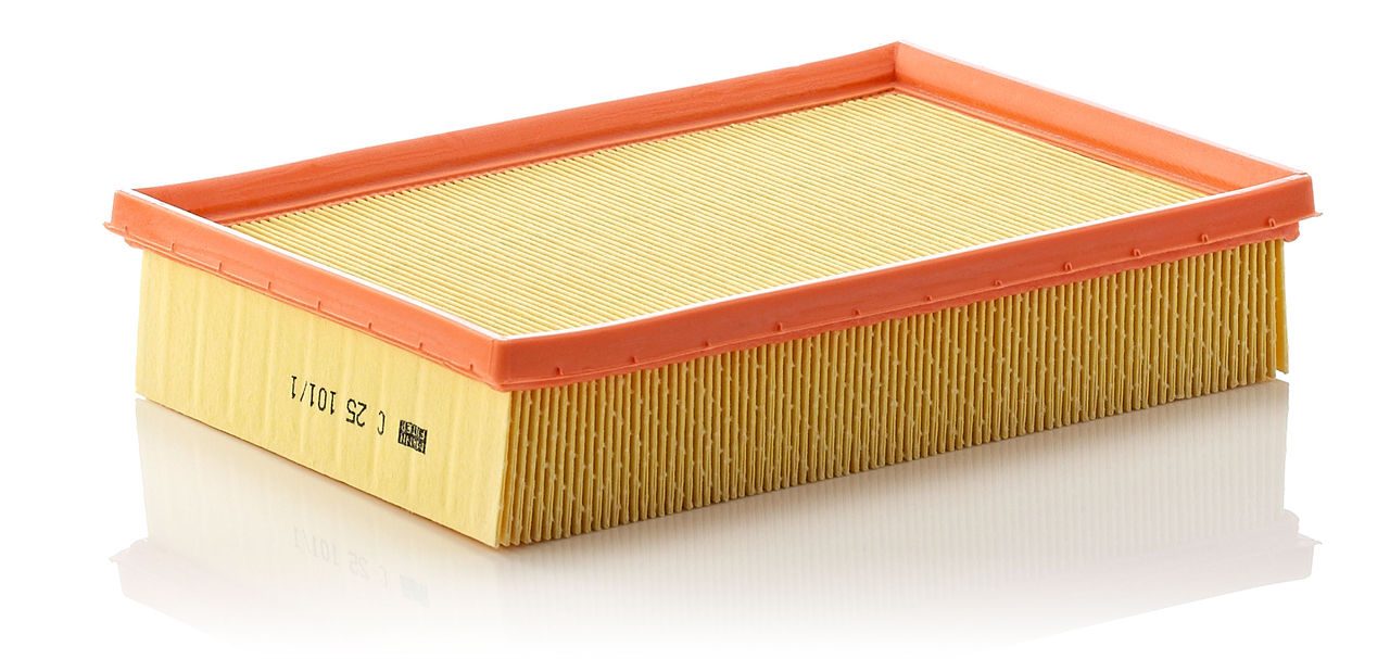 Mann Air Filter C 25 101/1