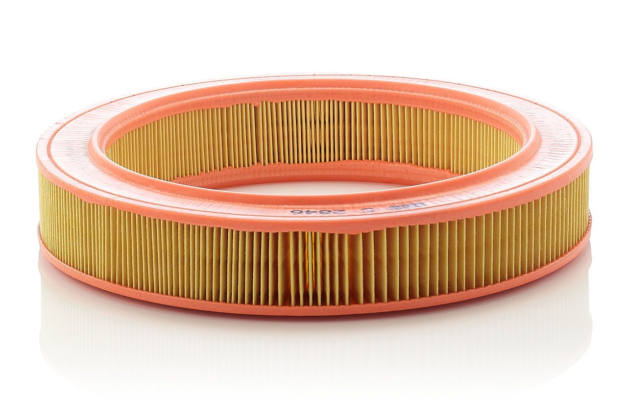 Mann Air Filter C 2846