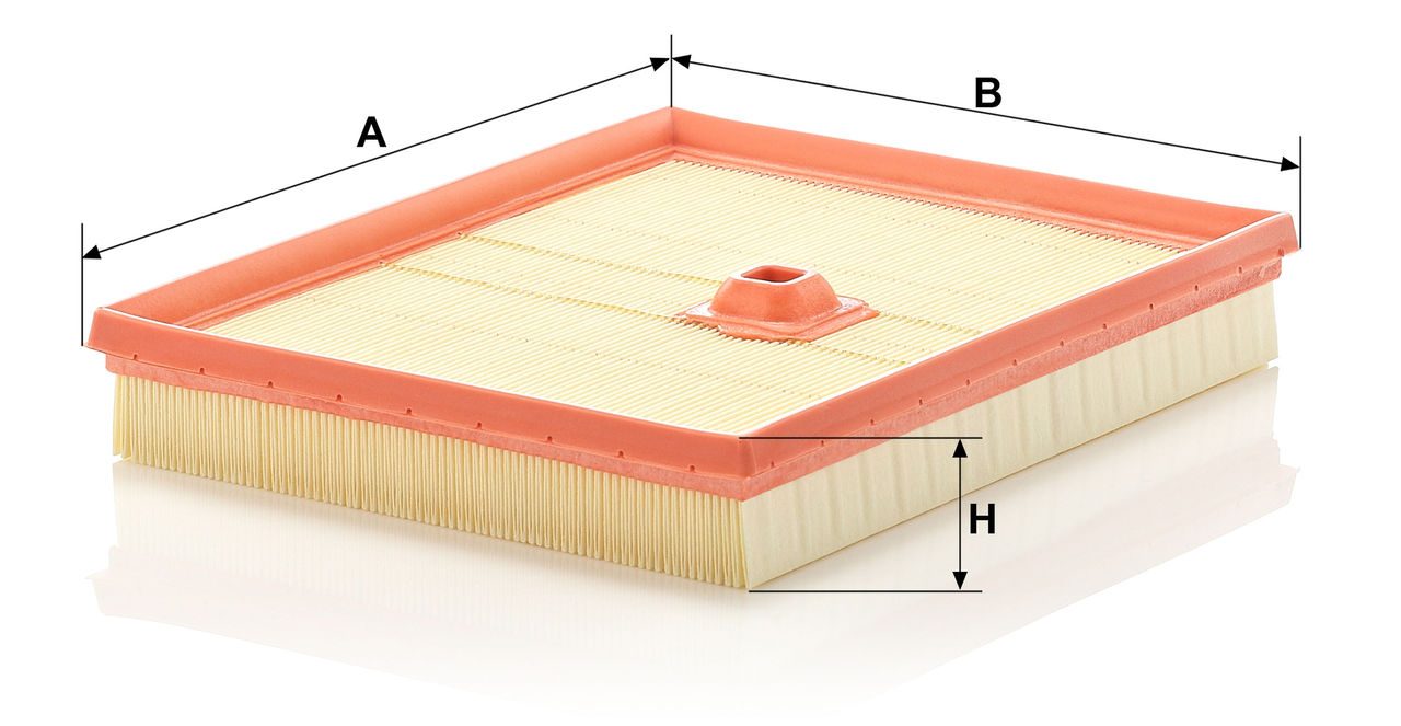 Mann Air Filter C 2695/2