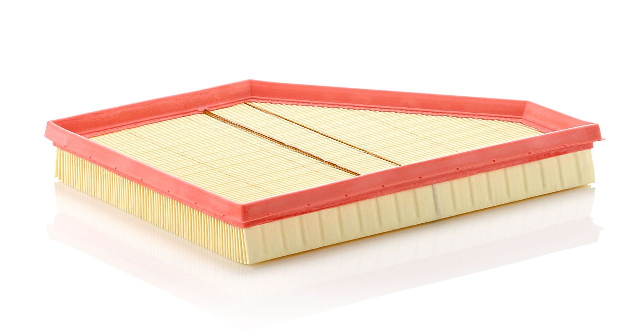 Mann Air Filter C 3090/1