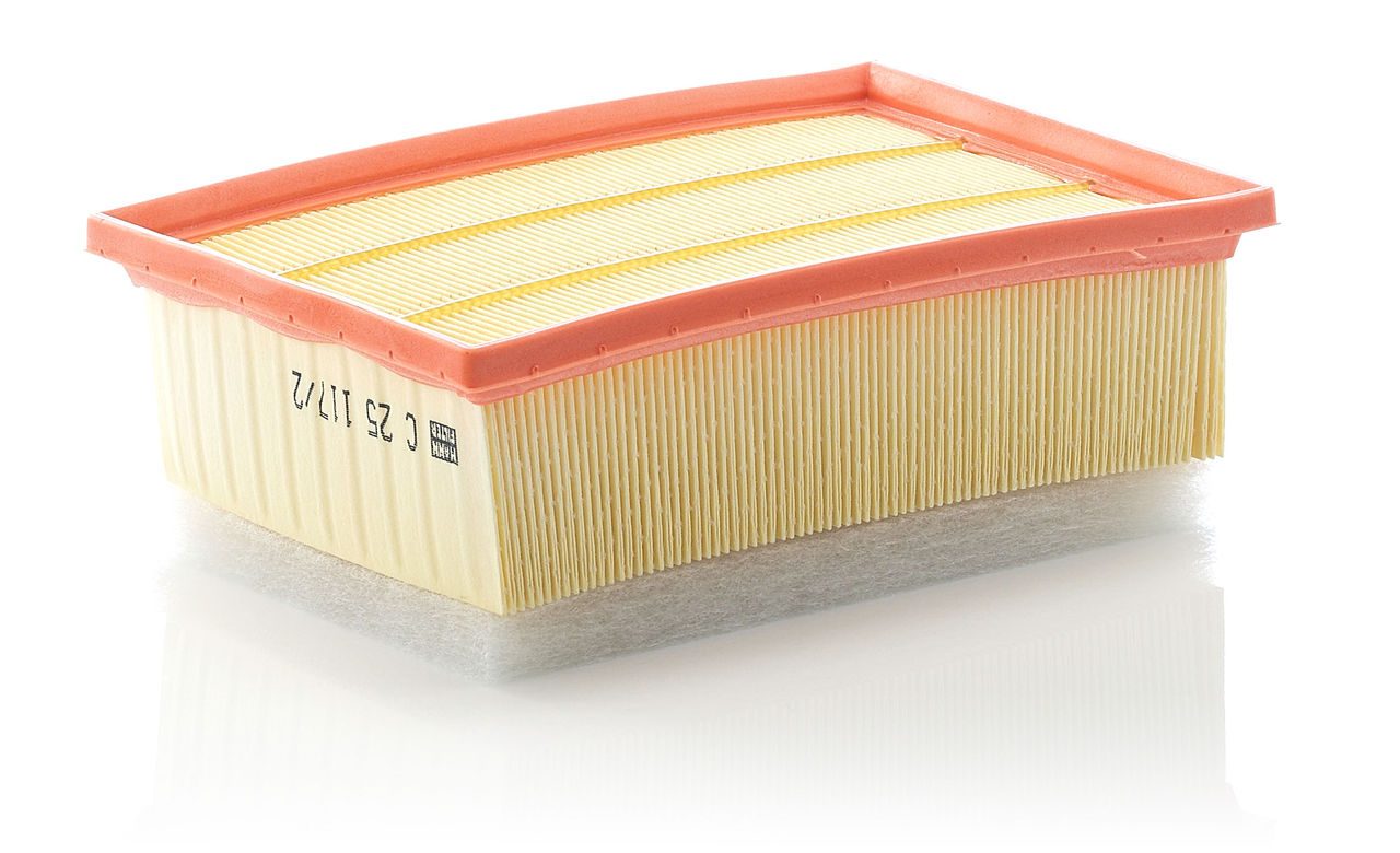 Mann Air Filter C 25 117/2