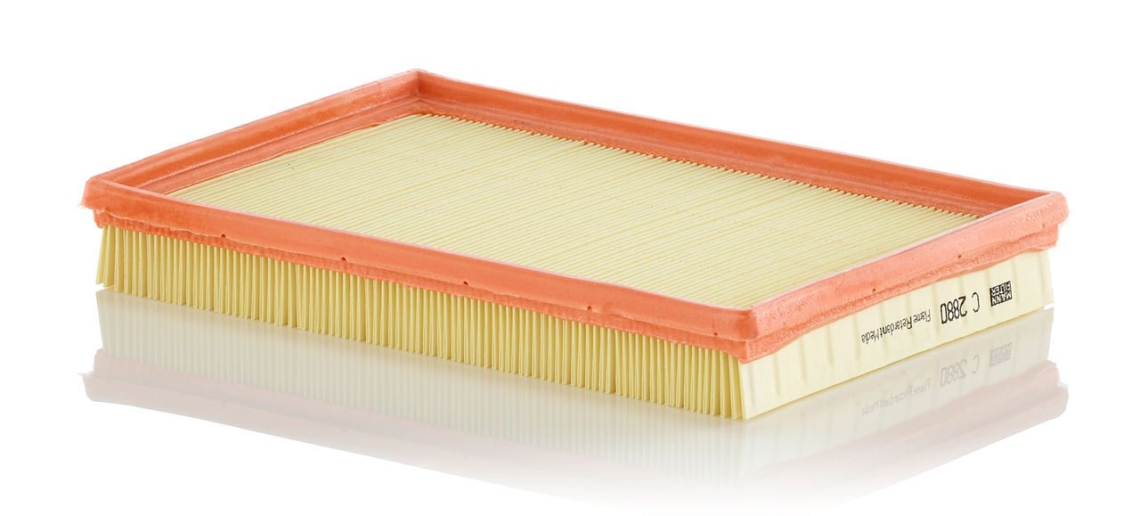 Mann Air Filter C 2880