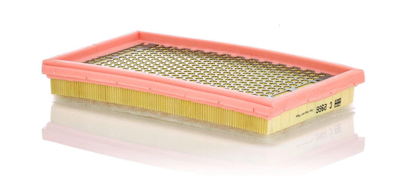 Mann Air Filter C 2966