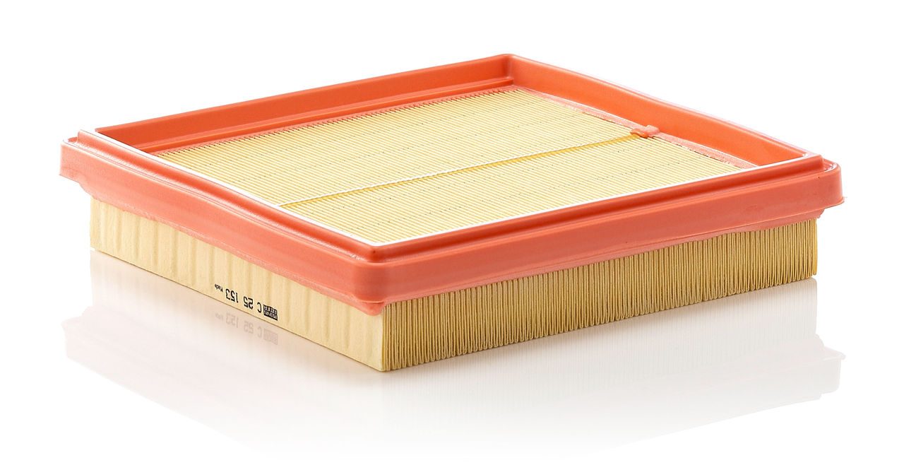 Mann Air Filter C 25 153
