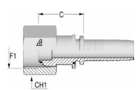 1/2" BSP Straight Female x 1/2 Hose