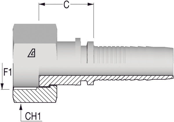 1/2" BSP Flat/Faced Female x 1/2 Hose