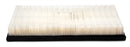 Fleetguard Air Filter-Plastic Panel On-Engine AF4965