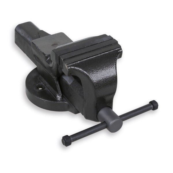 1599GI 125-PARALLEL BENCH VICES + JAWS