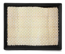 Fleetguard Air Filter-Cabin AF55802