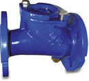 Profec Return Valve Ductile Iron (Ggg40) Epoxy Coating Dn125 Din Flange 10Bar Dn125 Pn10/16 | Profec | UK Supplier | Roladex