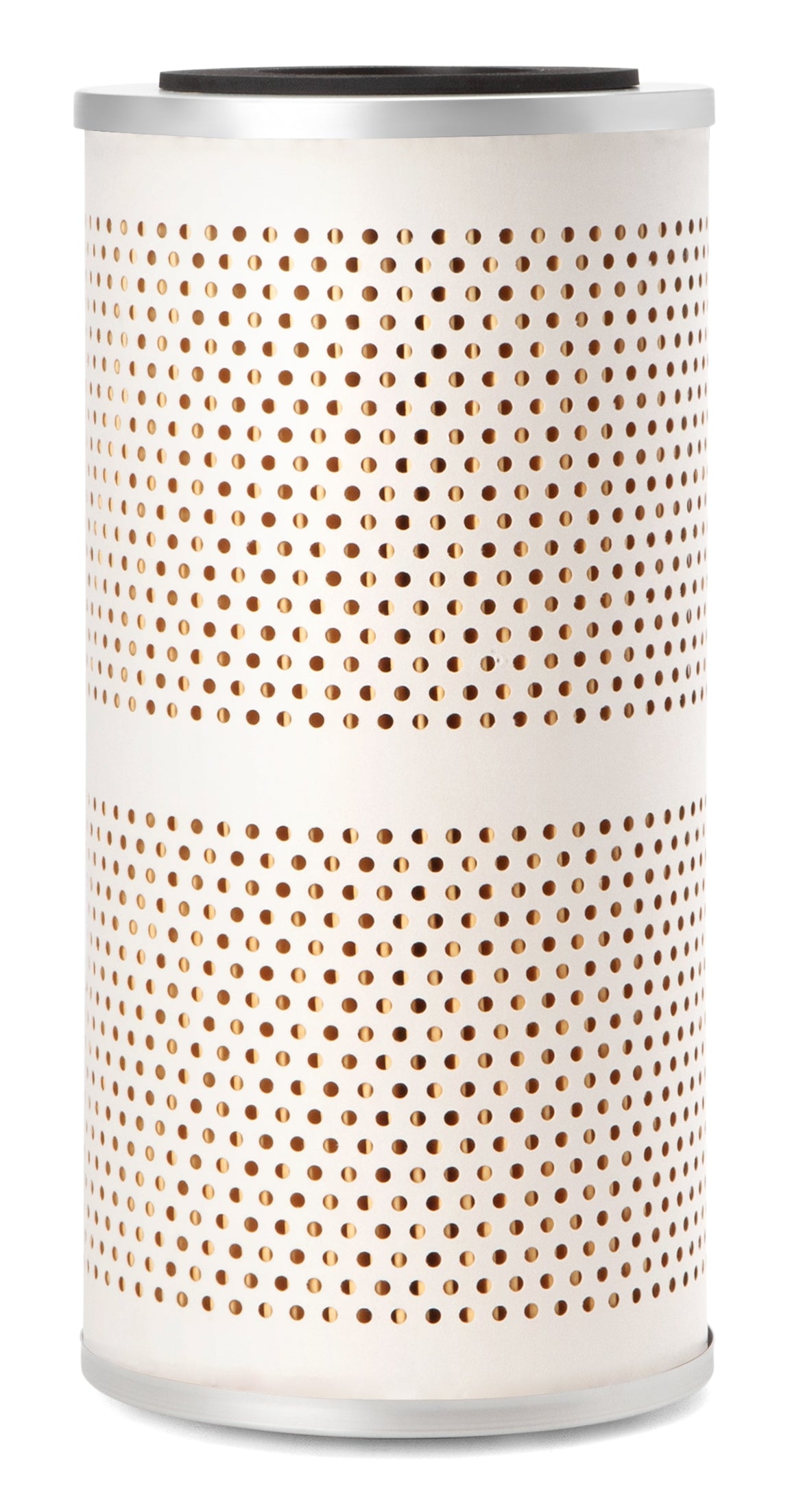Fleetguard Fuel Filter Cartridge Metal FF5251