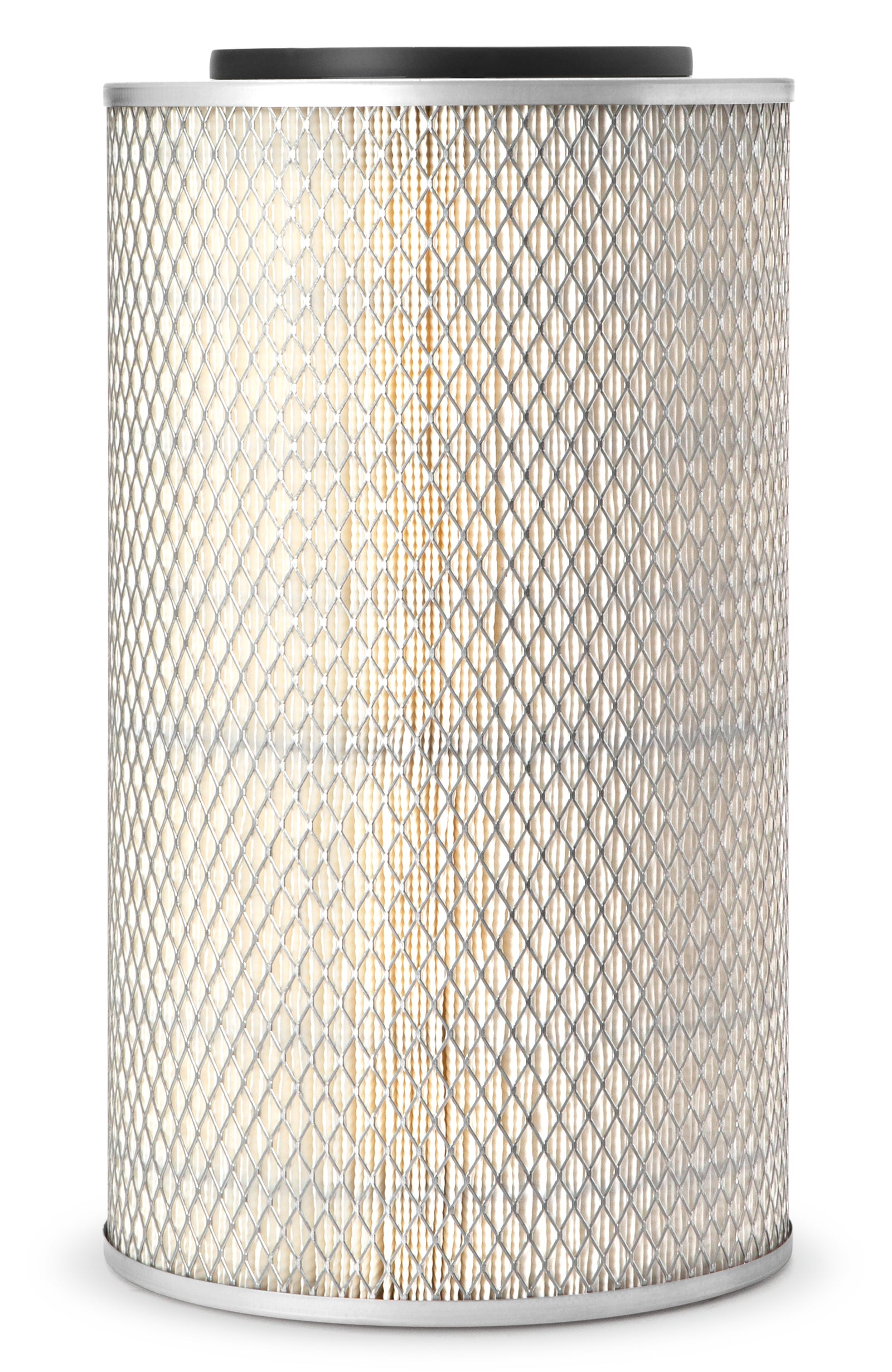 Fleetguard Air Filter-Primary AF4669