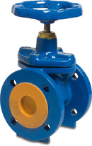 Profec Valve Ductile Iron (Ggg40) Epoxy Coating Dn250 Din Flange 16Bar Dn250 Pn10 Type 301 | Profec | UK Supplier | Roladex