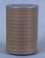 Fleetguard Air Filter-Primary AF4920