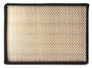 Fleetguard Air Filter-Cabin AF55787