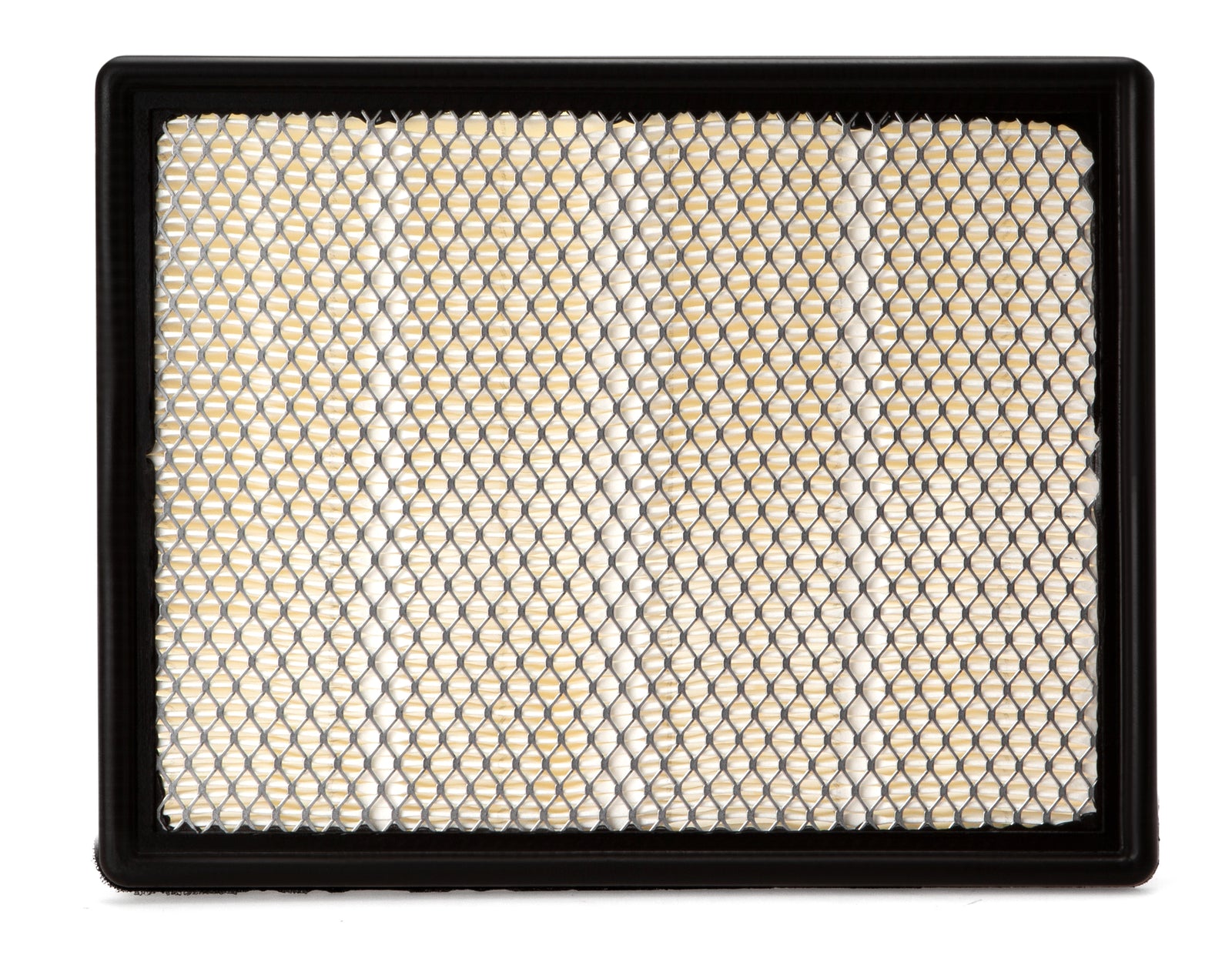 Fleetguard Air Filter-Plastic Panel On-Engine AF25848