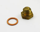 Fleetguard Plug  And  Washer Kit 3933978S
