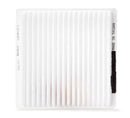 Fleetguard Air Filter-Cabin AF55772