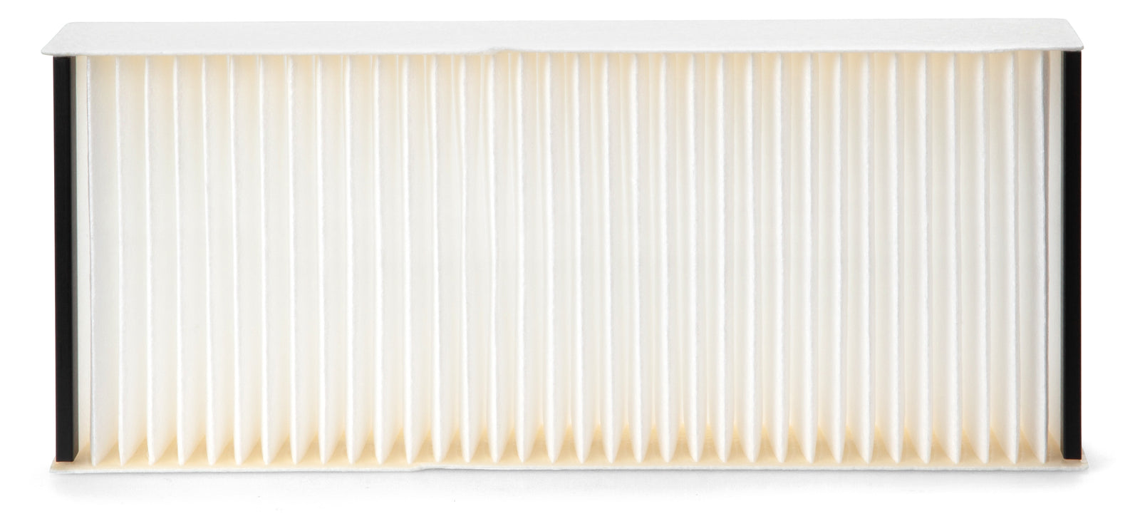 Fleetguard Air Filter-Plastic Panel On-Engine AF26435