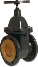 Profec Valve Cast Iron Gg 25 Varnished Dn50 Din Flange 10Bar Dn50 Pn10/16 Type 200 | Profec | UK Supplier | Roladex